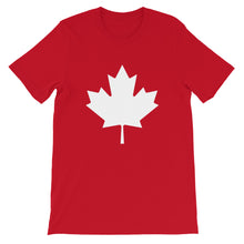 Load image into Gallery viewer, 2019 Election Campaigner Shirt