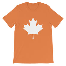 Load image into Gallery viewer, 2019 Election Campaigner Shirt