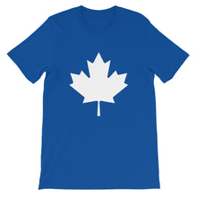 Load image into Gallery viewer, 2019 Election Campaigner Shirt